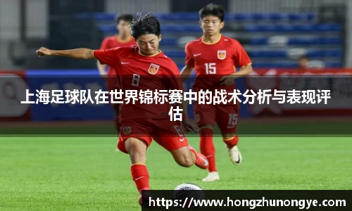 上海足球队在世界锦标赛中的战术分析与表现评估