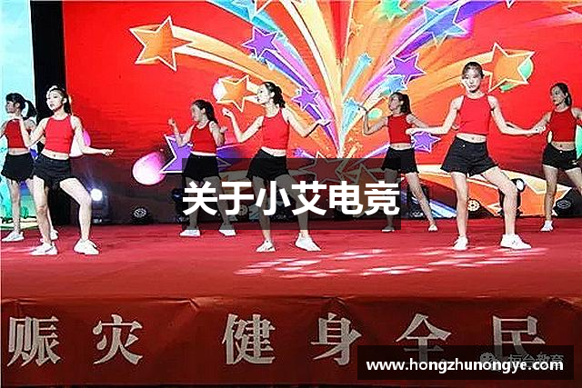关于小艾电竞